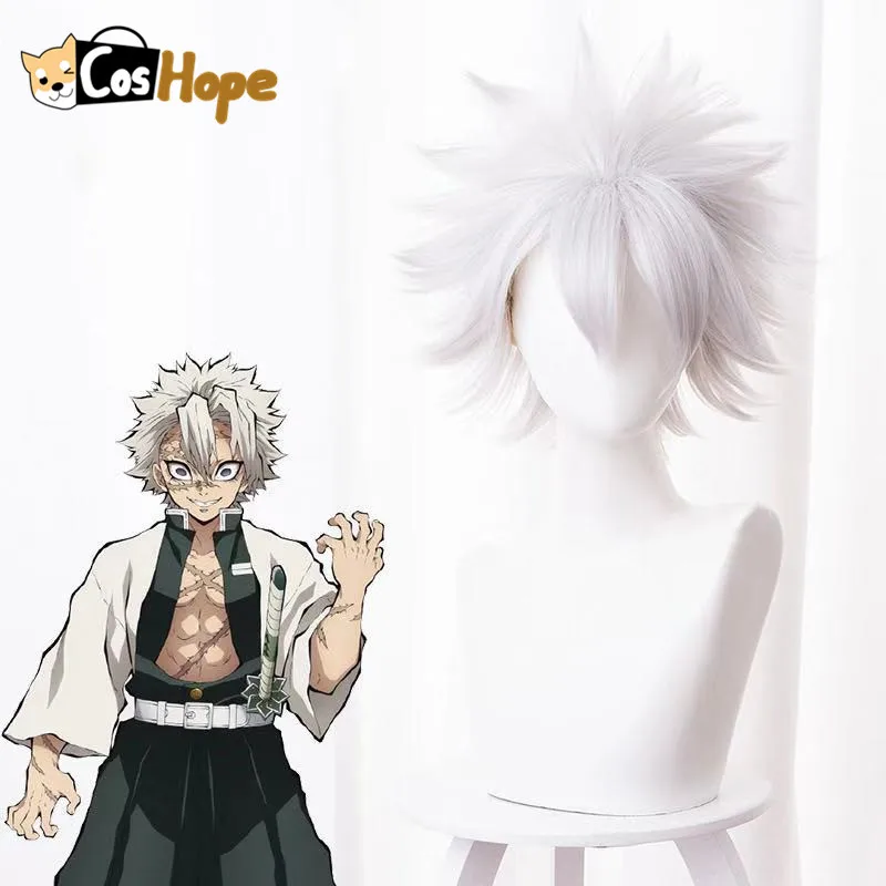 

Sanemi Shinazugawa Wig Kimetsu no Yaiba Cosplay Short Silver Grey Wig Cosplay Anime Wig Heat Resistant Synthetic Wigs Halloween