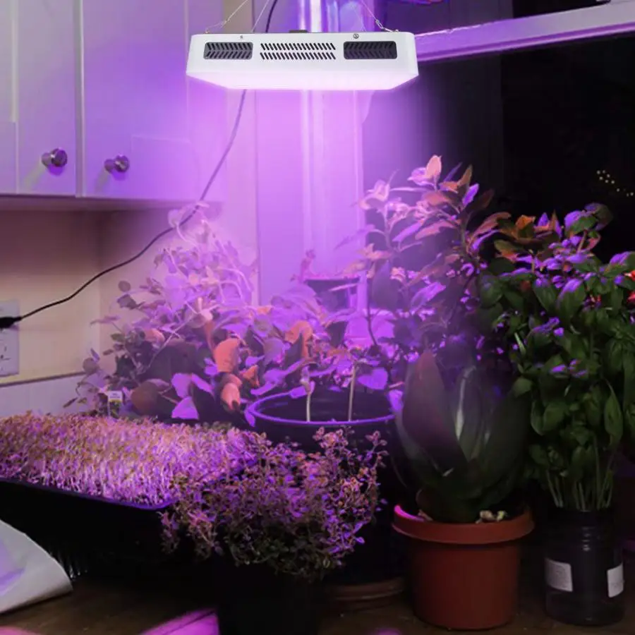 

AC85-265V 1000W LED Plant Grow Lamp Full Spectrum For Greenhouse Plants Vegetables