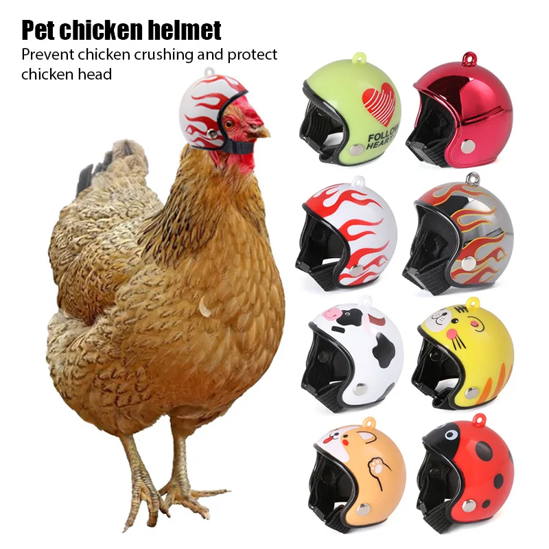 Casco de protección solar para mascotas, protección contra la lluvia, Pájaro de juguete, gallinas pequeñas, suministros y disfraces, accesorios