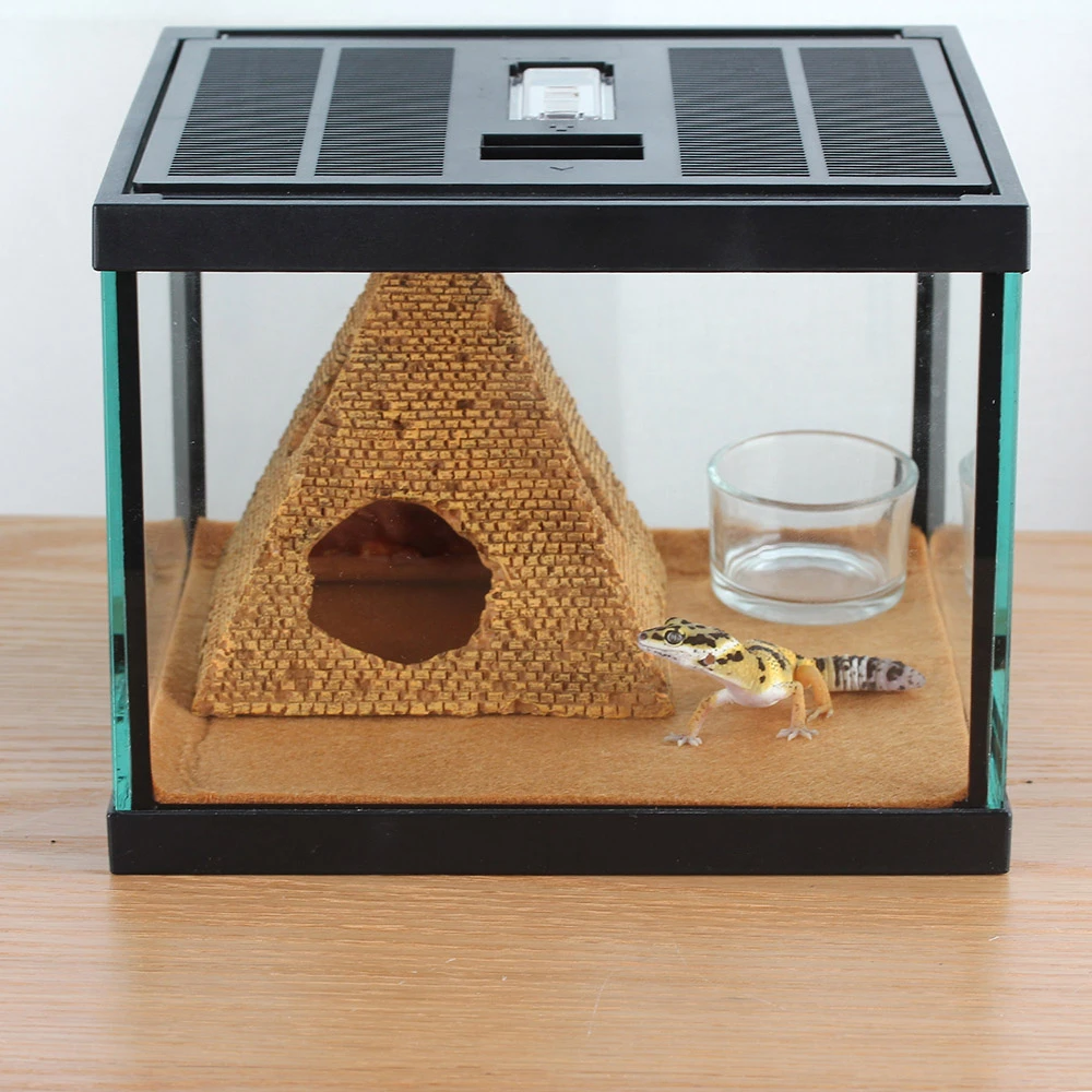small reptile cage