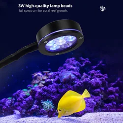 Adjustable light clip-on aquarium lighting