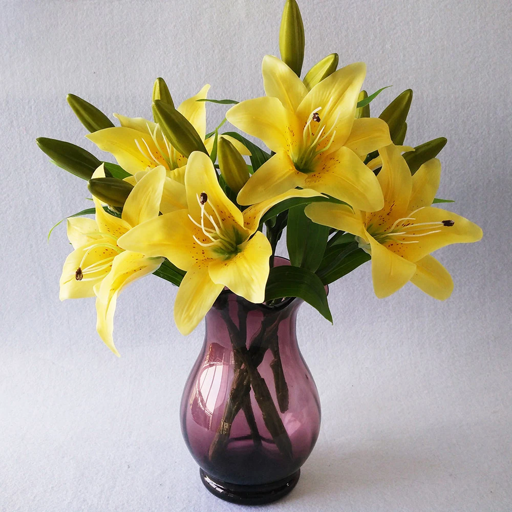 YYPA0060-1-YYPA0060-4-C5