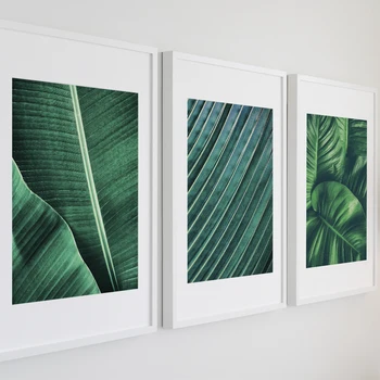 

Nordic Canvas Print Painting Poster Of Green Leaf Monstera Deliciosa Canvas Painting Unframed Wall Picture For Home Decoration