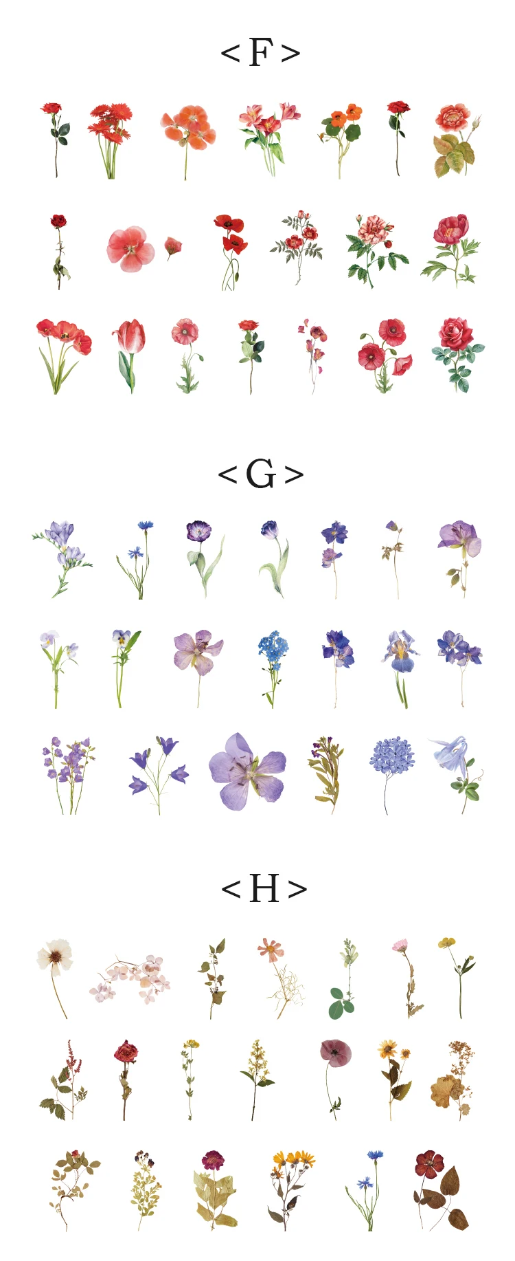 Mr.paper 40Pcs/Bag Plant Flower Series Decorative Diary Sticker Scrapbook Planner Decorative Stationery Sticker