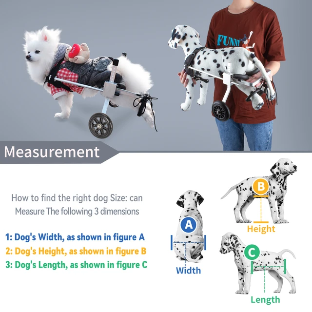 How Do You Measure A Dog For A Wheelchair