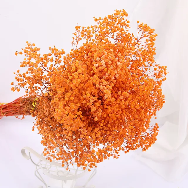Natural Fresh Dried Preserved Flowers Gypsophila Paniculata,Baby's Breath Flower Bouquets Gift for Wedding Decoration,Valentines Orange