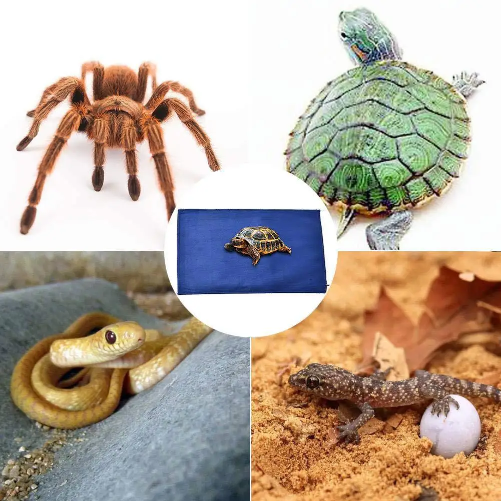 Рептилия тепловой коврик под бак Террариум нагреватель углеродное волокно тепло коврик супер мягкий короткий плюш нагревательная подушка для маленьких животных