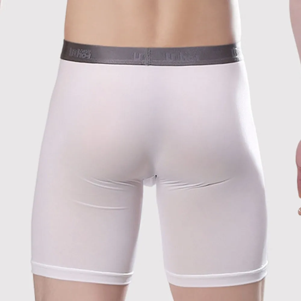 

Man Sexy U Convex Underwear long Legs Boxer Briefs Mesh Shorts Trunks Underpants Breathable Sport Ultra-thin Bikini Slip Homme