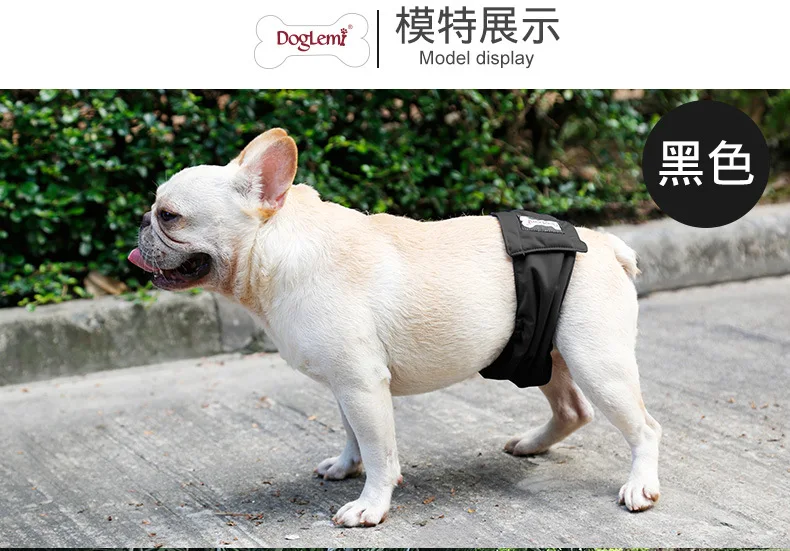 Male Dog Physiological with Anti-Harassment Dog Diaper Pants Bellyband Teddy Golden Retriever Water-Resistant Bottom Knicker Pet