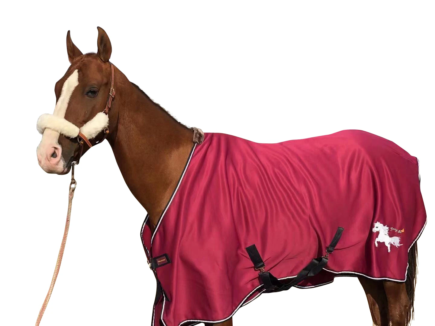 New European Thick Brushed Rugs, Thick Spring And Autumn Winter Horse Covering Five Colors