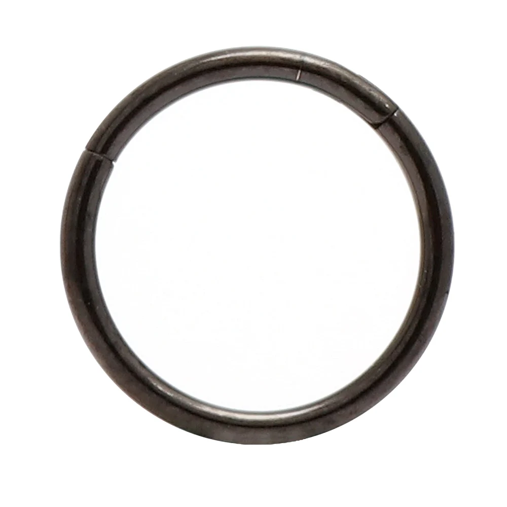 Black Hypoallergenic Nose Rings 20G 18G 16G 14G 12G 10G 8G 316l Surgical Steel Hinged Segment Ring Body Piercing Jewelry Earrings - Metal color: Black