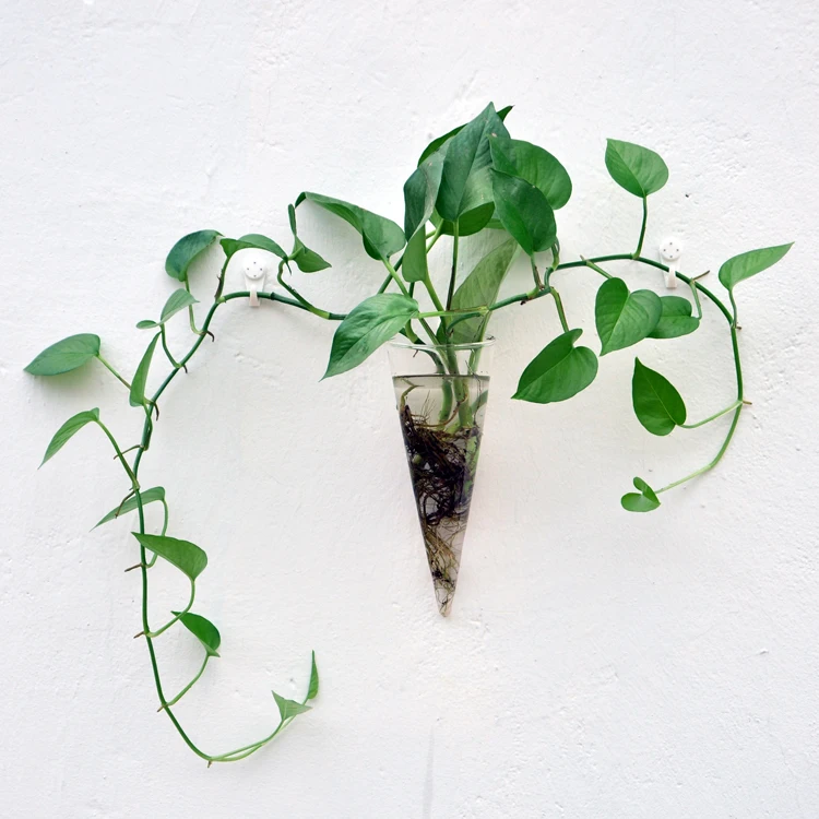 Circular Cone Glass Wall Hanging Vase Bottle for Plant Flower Decor Clear Wall Planter Home Hotel Restaurant Decor