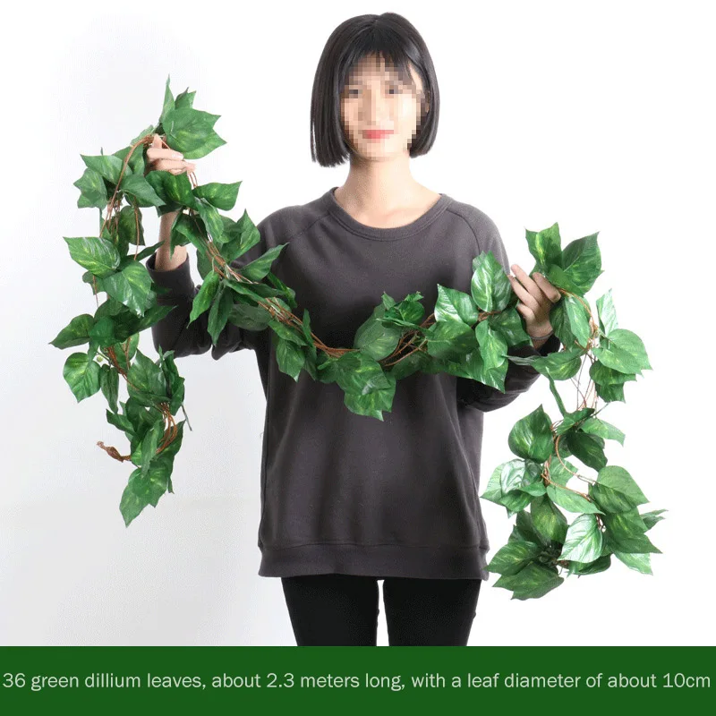 13058754678_793964271