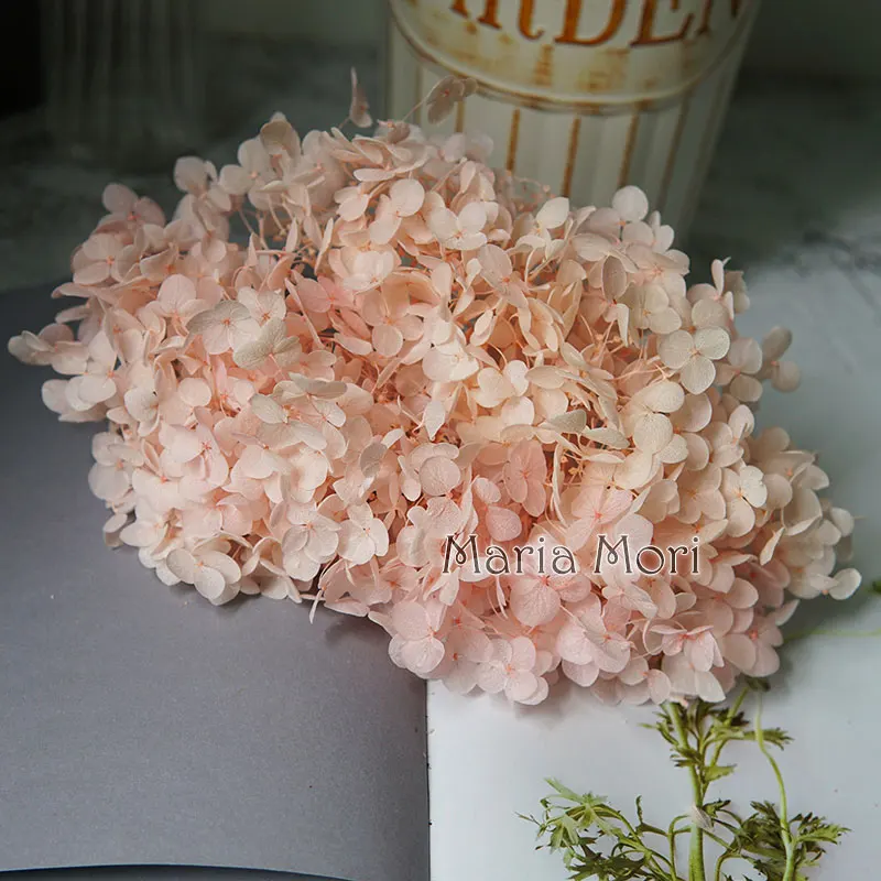 Anna Hydrangea  Flowers  Little  Leaves Preserved Hydrangea Decor  Office Decor  DIY Flowers