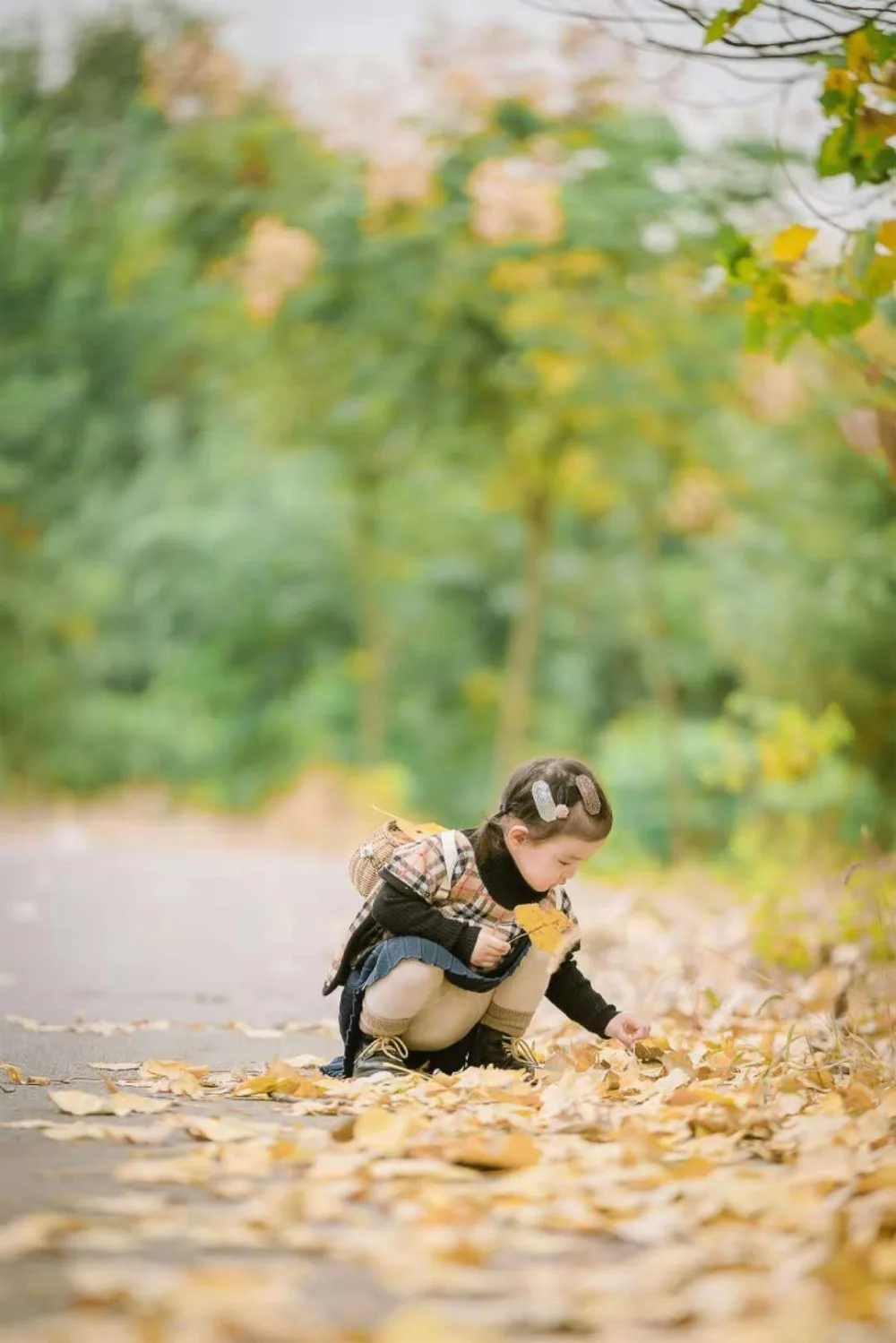 微信图片_201811190907445