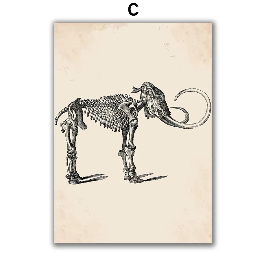 Vintage-Horse-Skeleton-Animal-Anatomy-Wall-Art-Canvas-Painting-Nordic-Posters-And-Prints-Wall-Pictures-For (10)