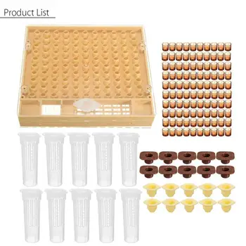 

Beekeeping tool queen bee cultivation box free from moving insect to protect the queen bee educate the king cup breeding set