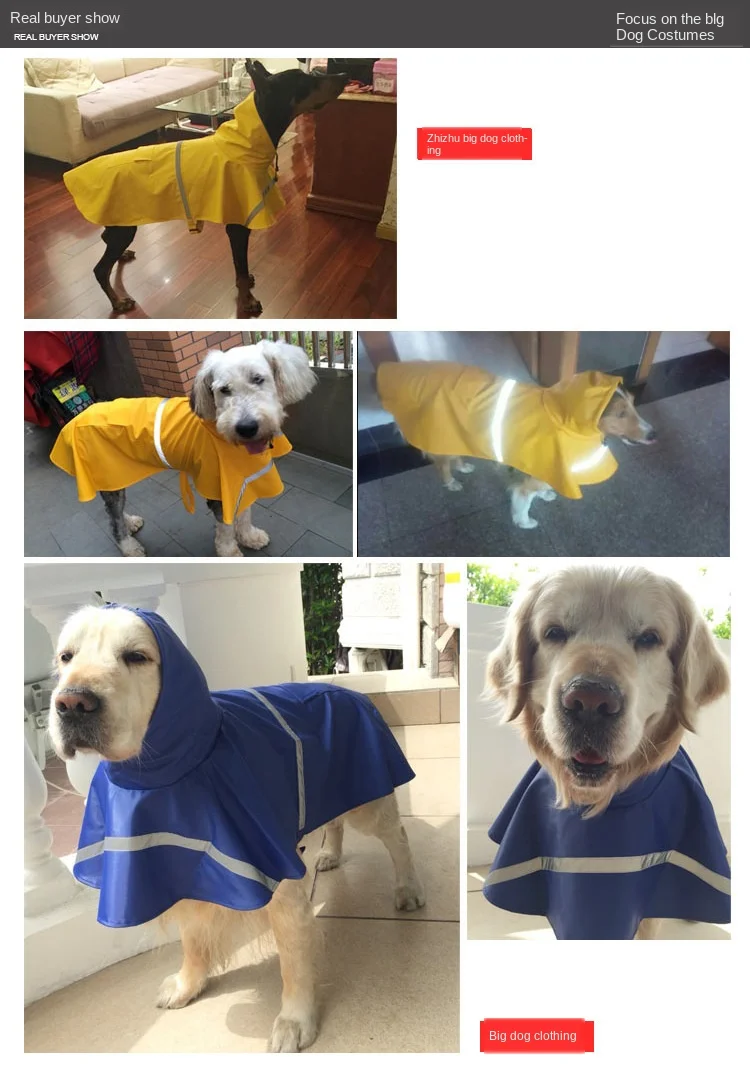 Hbfa1f374313b4e0aaf8beb7cab55cc2fA