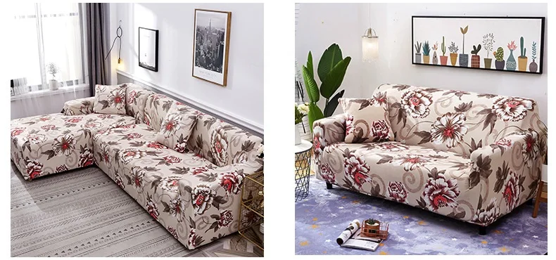 11765558222_1690726818