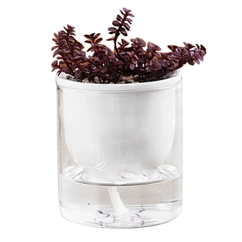 

Accessories Plant Pots Water-Saving Clear Self-Watering Plastic Transparent