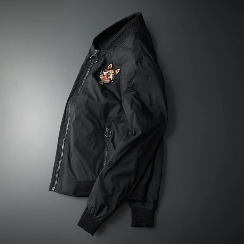 12175631318_1248239198