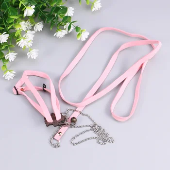 

Adjustable Hamster Pet Turtle Lizard Traction Rope Turtle Lead Leash Hauling Rope Walking Training Rope - Size S (Black)