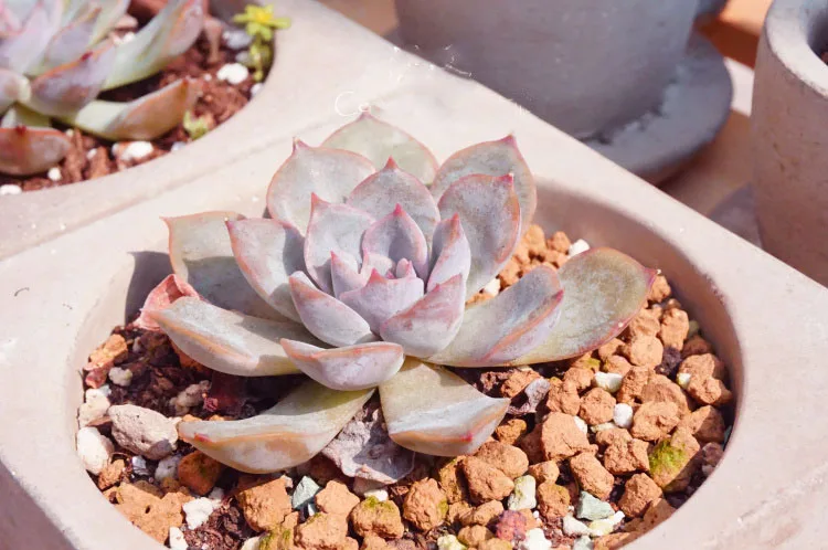 HTB1bBBDRVXXXXckXXXXq6xXFXXX0