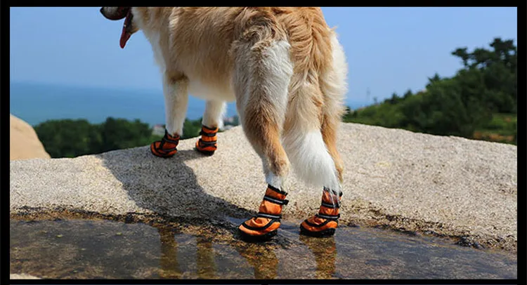 O1CN011QkuWcNVd9WHDpg_!!2340322015_副