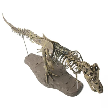 

New Large Dinosaur Fossil Skull Animal Model Toys Tyrannosaurus Rex Assemble The Skeleton Model Furnishing Articles Decoration