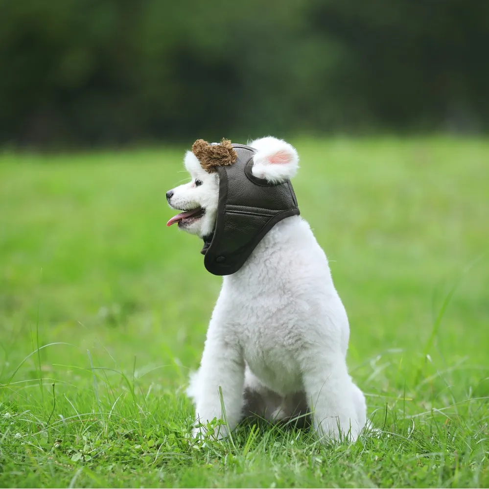 Dog Snow Cap Hat Autumn Winter Style Cute Aviator Cap Pet