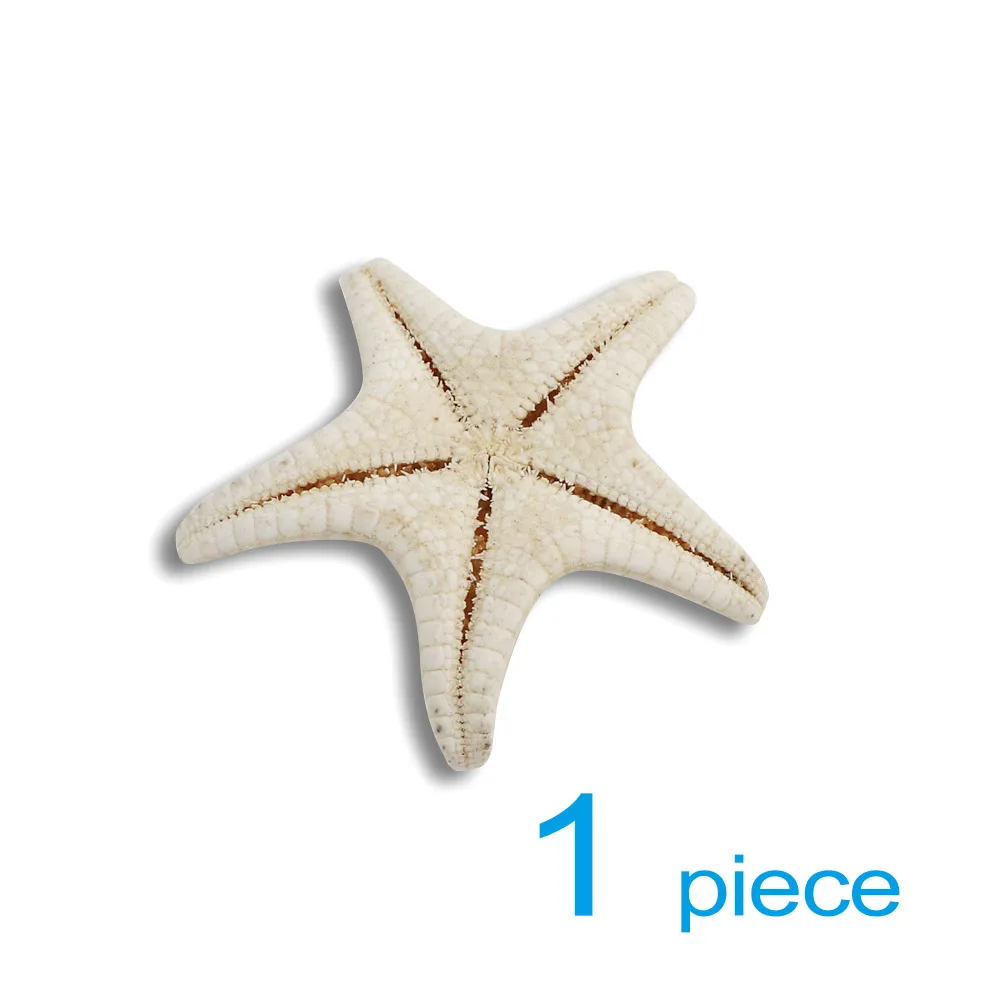 1pc 20 шт./кор. 3-5 см, Малый морской звездой шезлонгом островом Ремесло Мини натуральные морские звезды для декорирования вестибюлей DIY ручной работы аксессуары - Цвет: 1pc