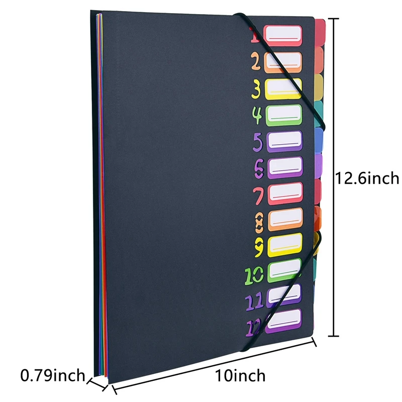 Extended Folder,12 Pocket Letters A4 Paper Item Sorter,Plastic File Storage Bag,Iridescent