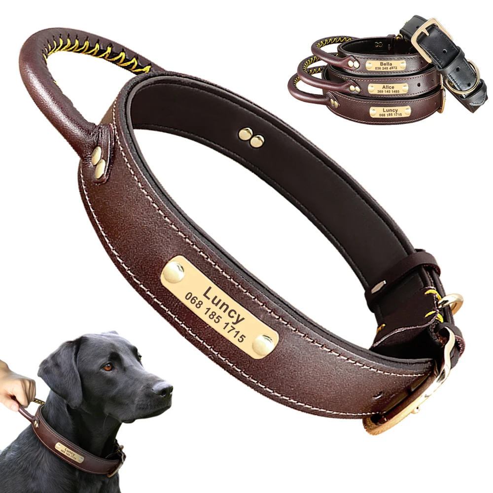 Collier En Cuir Pour Chien Avec Poignée Et Plaque Personnalisée - Contrôle Rapide - Taille M Brun