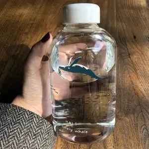Whale Cup 600ML Frosted Glass Mup Leak-Proof Fashion Mineral Water Bottles  Drinkware Camping Travel Easy to Carry Sport Bottle A2