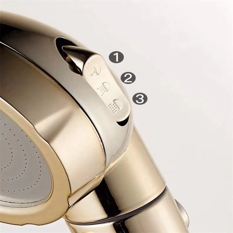 Bathroom 3 Functions Abs Chrome Shower Head With Switch