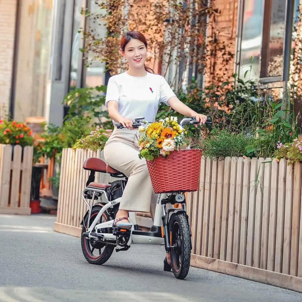 himo c16 electric bike