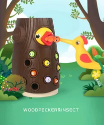 Montessori brinquedos para crianças pica pau pegar worm crianças jogo magnético definir bebê desenvolver habilidades do motor brinquedos educativos para a criança