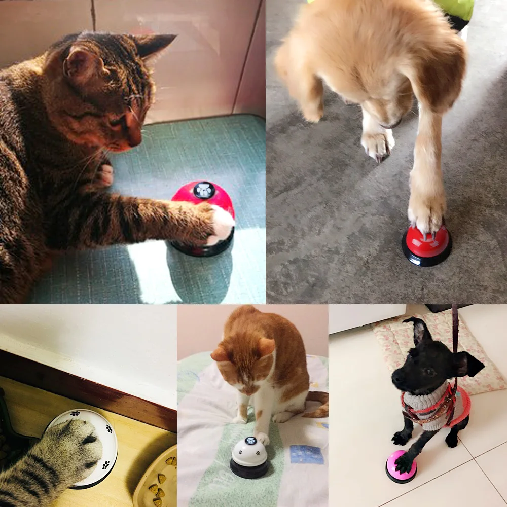 Cat Training Feeding Bell  (2)