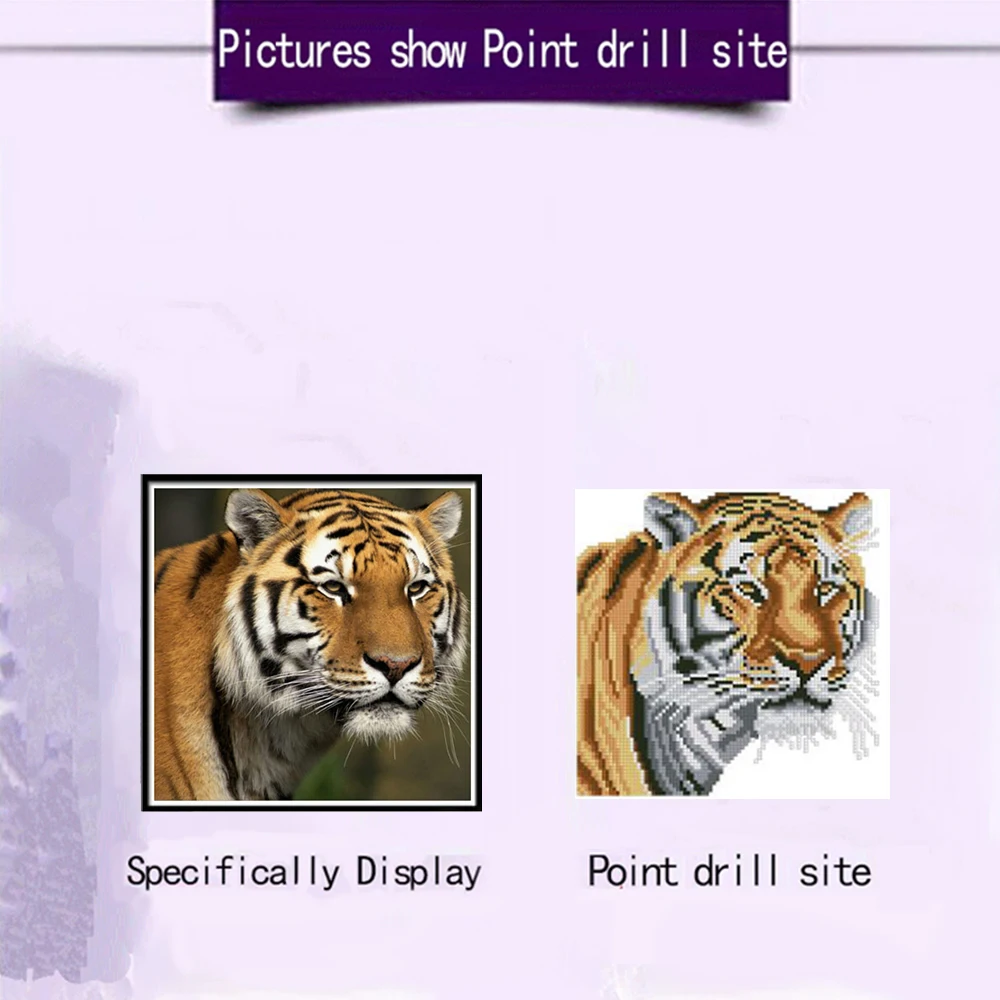 5DDIY Алмазная картина животные тигр кошка вышивка крестиком Мозаика наклейка украшение дома наклейки на стену ручной работы год g