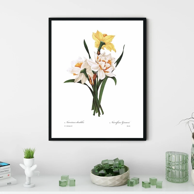 Daffodil-Botanical-Canvas-Poster-Spring-Wall-Decorative-Picture-Kitchen-Cottage-Bedroom-Painting-Prints-French-Living-Room (2)