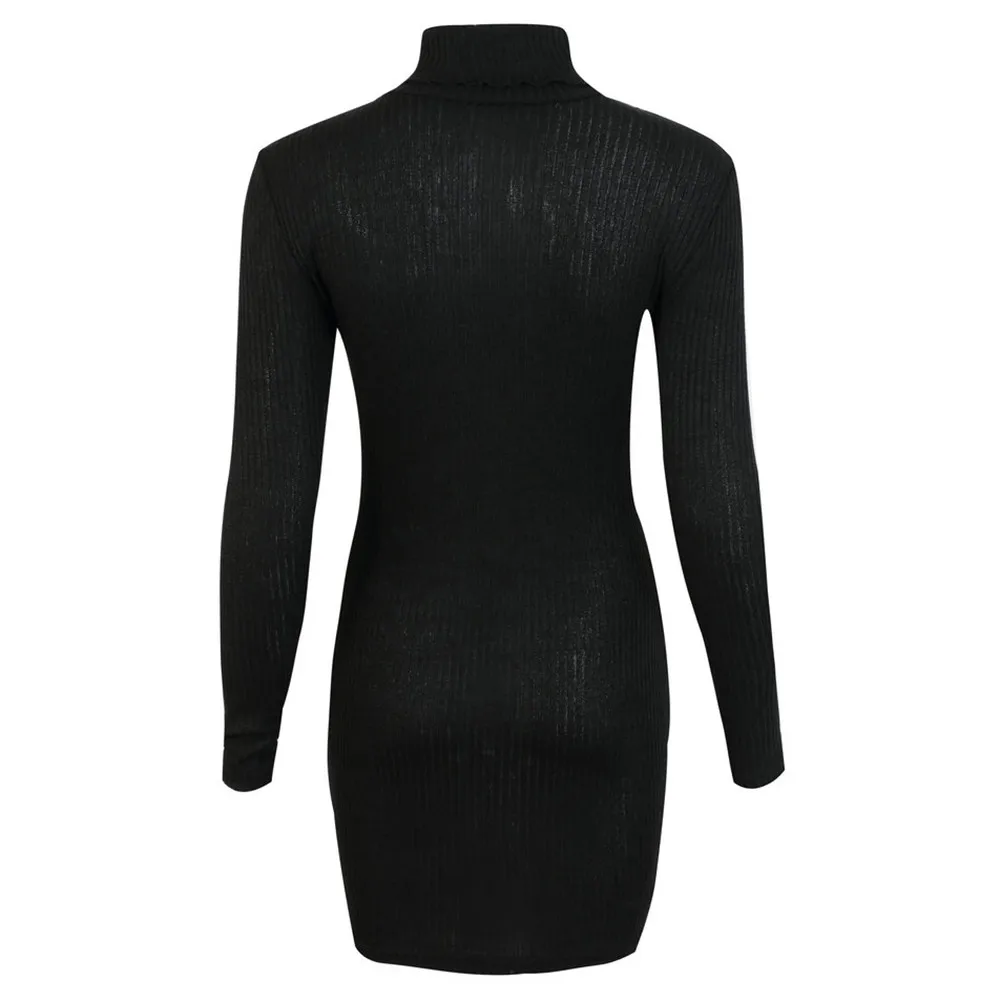 Jaycosin Fashion Womens Casual Long Sleeve Jumper Turtleneck Sweaters Dress Elegant Lovely Chic Comfy Jumper Top Blouse
