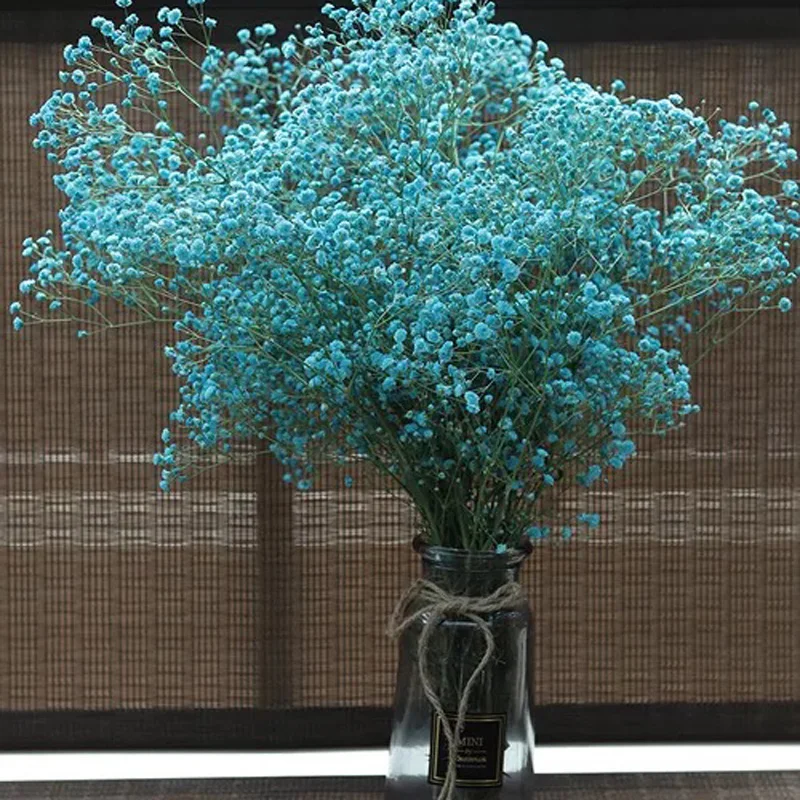 blue 65g Консервированный свежий babysbreak 65 г/35 см, DIY Eternelle цветочный, свадебный подарок домашний декор. Подарок на день Святого Валентина консервированные сухоцветы - Цвет: blue 65g