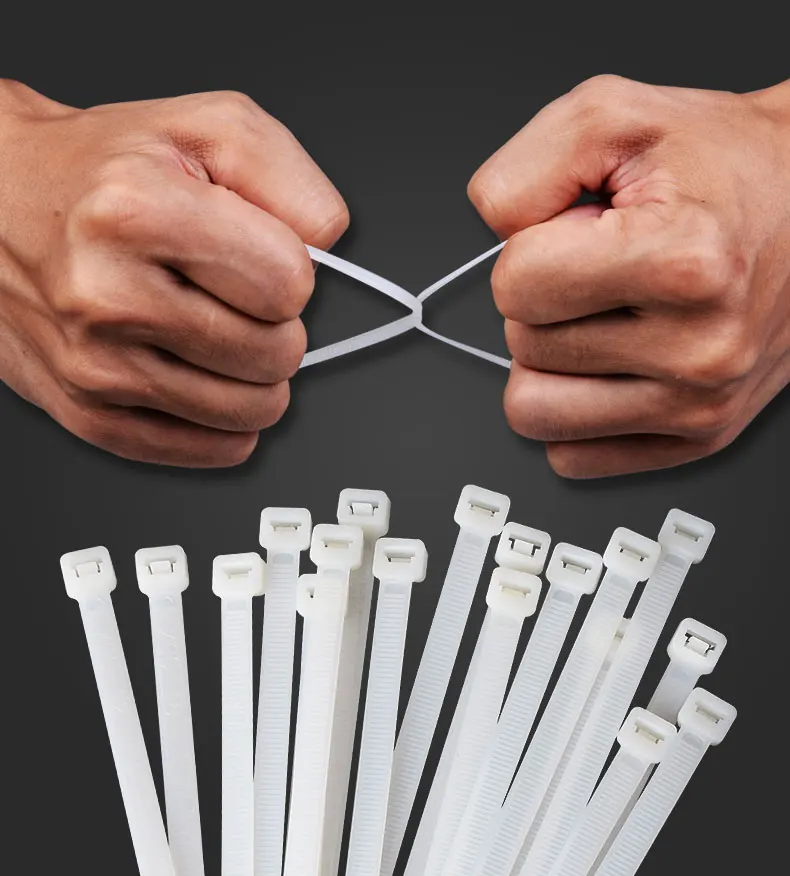 High Quality Renovação da Casa