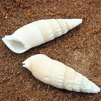 

Natural conch shell white spiro 5-8CM Aquascaping Decoration specimens DIY