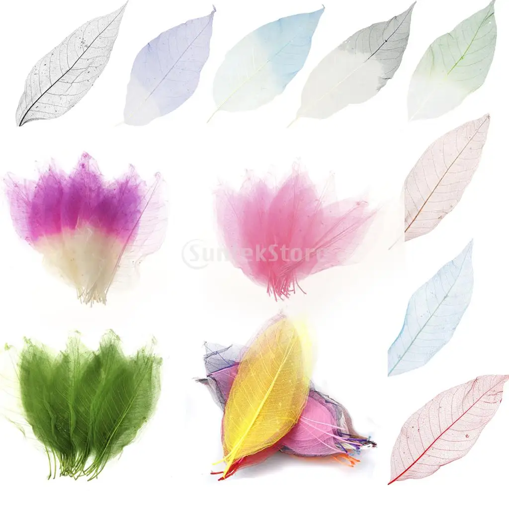 50Pcs Natural Magnolia Skeleton Leaf Craft Supplies Leaves Card Scrapbooking Embellishments Multi-Purpose Gift for Friend