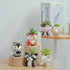 Nordic New Style Ceramic Animal Flower Pot Cartoon Zebra Sheep Cow Head Mini Pot Succulents Plants Bonsai Pots Home Decoration 2