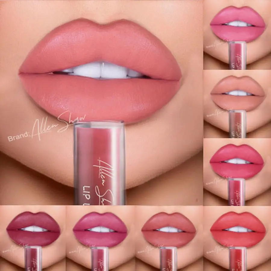 

Matte Lip Gloss Lipstick Makeup Liquid Matte Lipstick Waterproof Long Lasting Sexy Red Lip Cosmetics Makeup Lip Nude Lip Stick