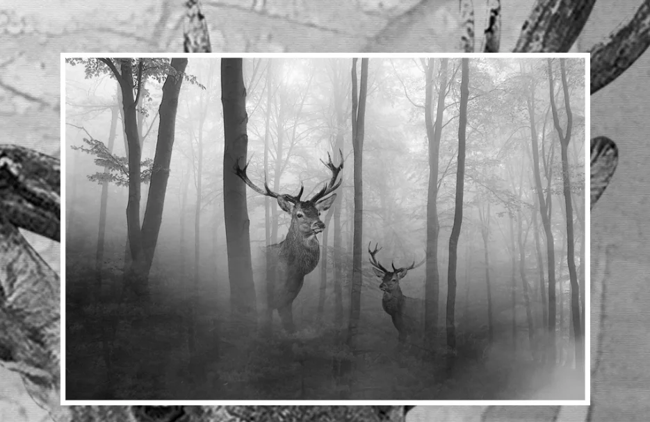 QQ截图20191231161346