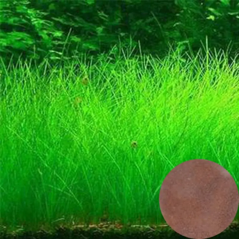 Small leaves Растение аквариум с травой аквариум для рыб растения перспектива трава сеялка трава ландшафтное растение аквариумное украшение Прямая поставка - Цвет: Small leaves