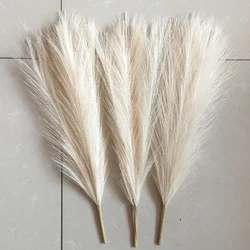 Elegant 45cm Pampas Grass for Wedding and Home Decor (Cream - colored)